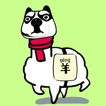 ”养了个羊