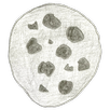 Cookie Clicker APK