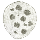 Cookie Clicker ícone