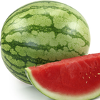 Watermelon Puzzle icône