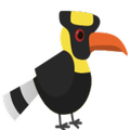 Color Bird