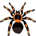 Insect Scary