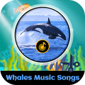 Whales Music Songs