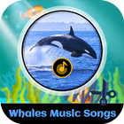 Whales Music Songs icône