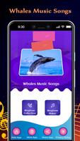 Whales Music Songs 海报