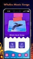 Whales Music Songs Affiche