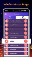 Whales Music Songs تصوير الشاشة 1