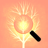 Spot a Difference Fireflies