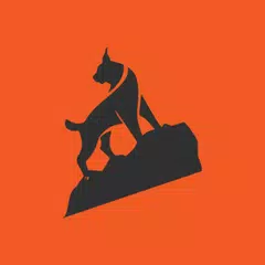 Lynx APK Herunterladen