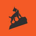 Lynx 图标