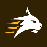 Lynx VPN