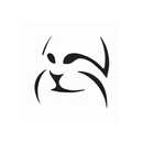 LYNX Player APK