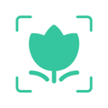 Plant Identification