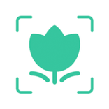 Plant Identification