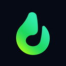 Lyra - Music, Radio APK