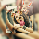 Editor de Fotos Picsa: Collage APK