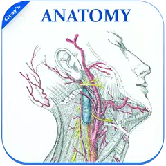 Gray's Anatomy - Atlas || Offline || Free APK 下載