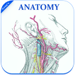 ”Gray's Anatomy - Atlas || Offline || Free