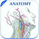 Gray's Anatomy - Atlas || Offline || Free APK
