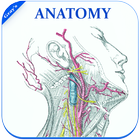 Gray's Anatomy - Atlas || Offline || Free ไอคอน