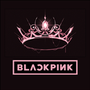 BlackPink Lyrics & Song APK