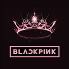BlackPink Lyrics & Song icône