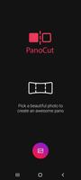 PanoCut-poster