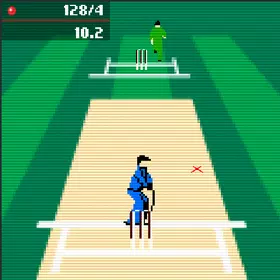 Cricket Cup Classic 90s Game