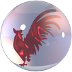GalloTapado icon