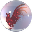 GalloTapado APK