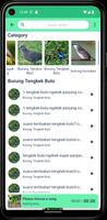 Kicau Pikat Burung Ribut Ampuh imagem de tela 3