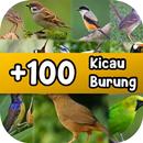 100+ MP3 Suara Kicau Burung APK