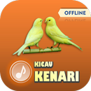 Suara Kenari Offline Mp3 APK