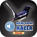 Suara Burung Kacer Gacor Mp3 APK