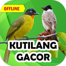 Suara Kutilang Gacor Mp3 APK