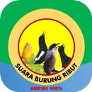 Suara Pikat Burung Kecil Ribut APK