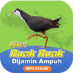 Suara Ruak Ruak Mp3 Offline ícone
