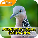 Suara Perkutut Lokal Gacor Dor APK