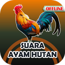 Suara Ayam Hutan Mp3 Offline APK