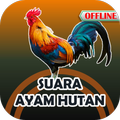 Suara Ayam Hutan Mp3 Offline