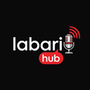 APK Labari Hub - FM Hausa Radio