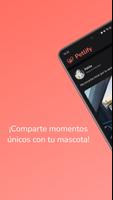 Petlify poster