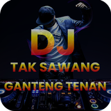 DJ Tak Sawang иконка