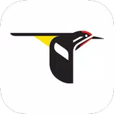 Merlin Bird ID von Cornell Lab APK