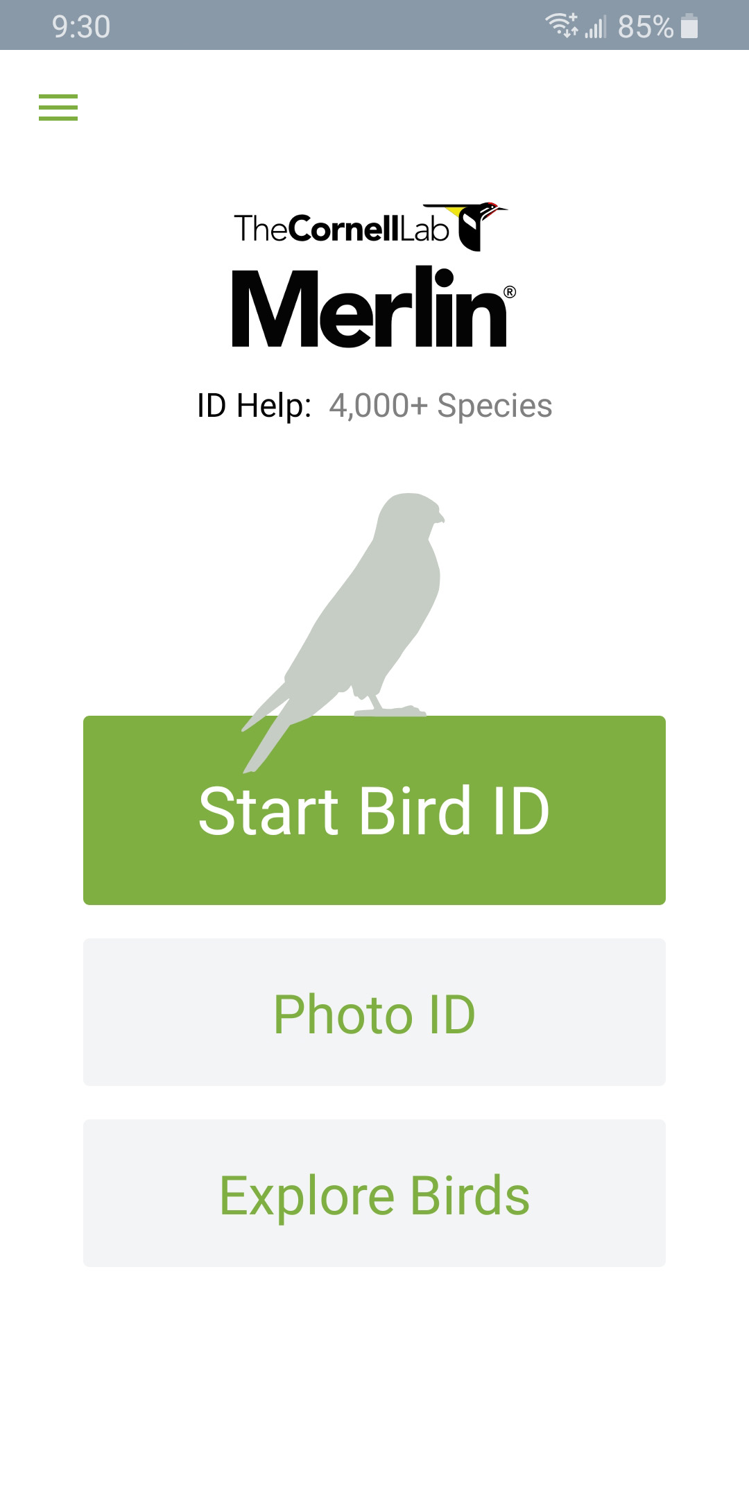 Merlin Bird ID by Cornell Lab APK 2.0.4 for Android Download Merlin