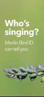 Merlin Bird ID ポスター