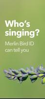 Merlin Bird ID plakat