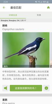 Merlin 鸟种识别  by Cornell Lab 截图 4