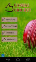 Casual Cricket 포스터