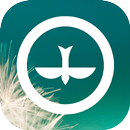 Igreja Batista da Lagoinha - A APK